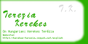 terezia kerekes business card